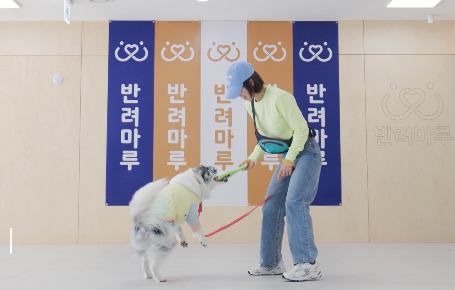 독댄
