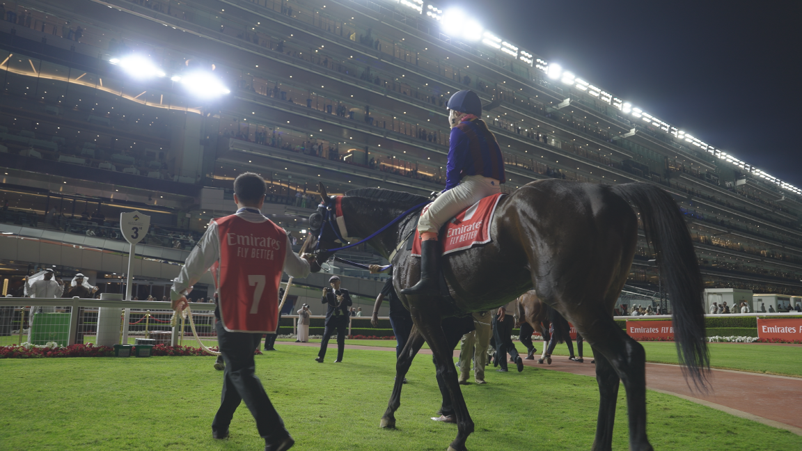 출전준비하는 글로벌히트