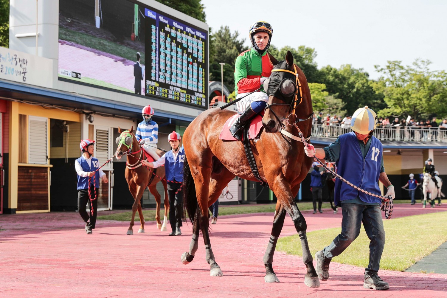 쏜살(24년5월19일 서울마주협회장배)