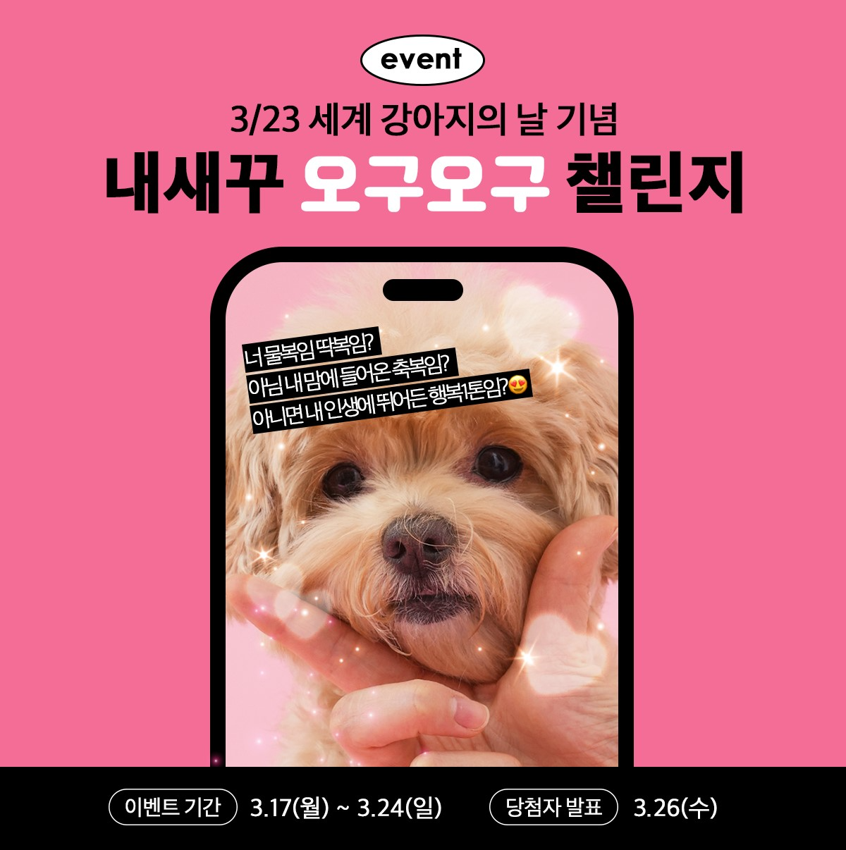 “반려동물과 특별한 순간을!” 네츄럴코어, ‘강아지의 날’ 기념 이벤트 개최