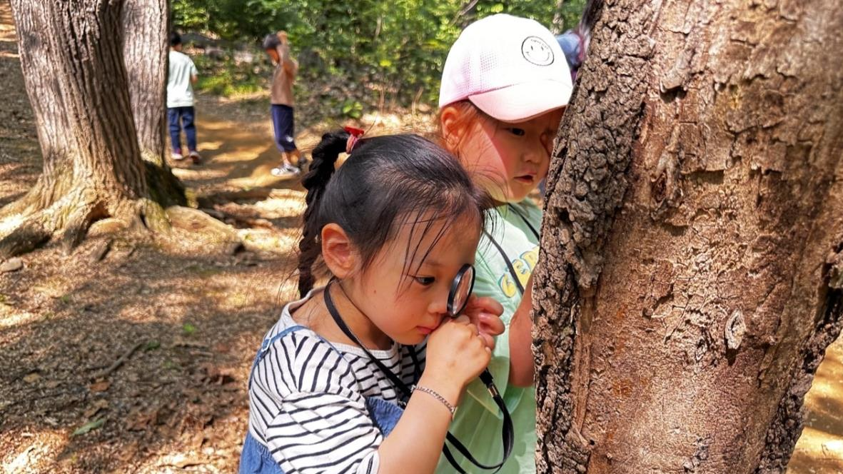 관악수목원 산림체험 프로그램