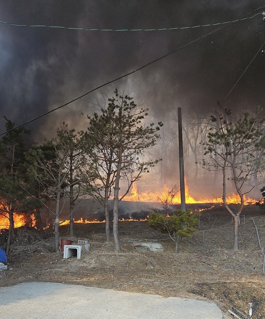 용인특례시 제공