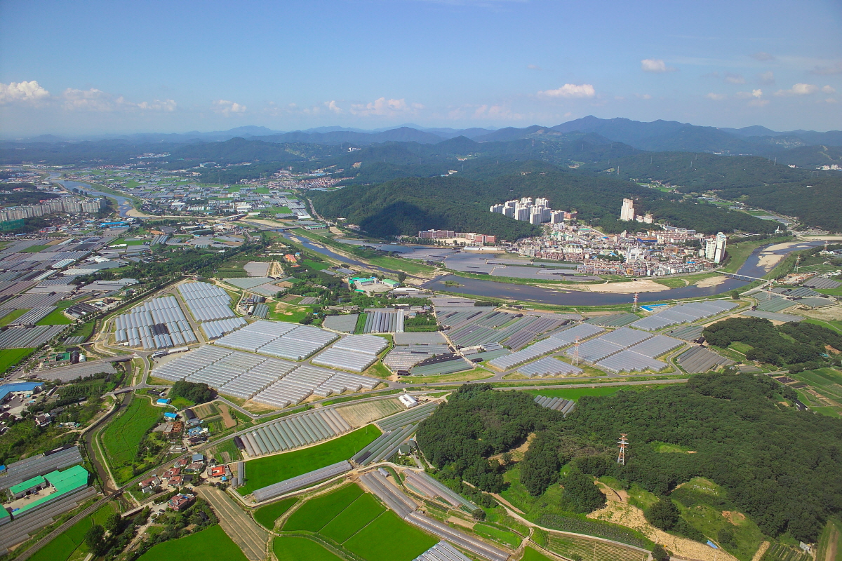 고양화훼특구 내 원당화훼단지 전경