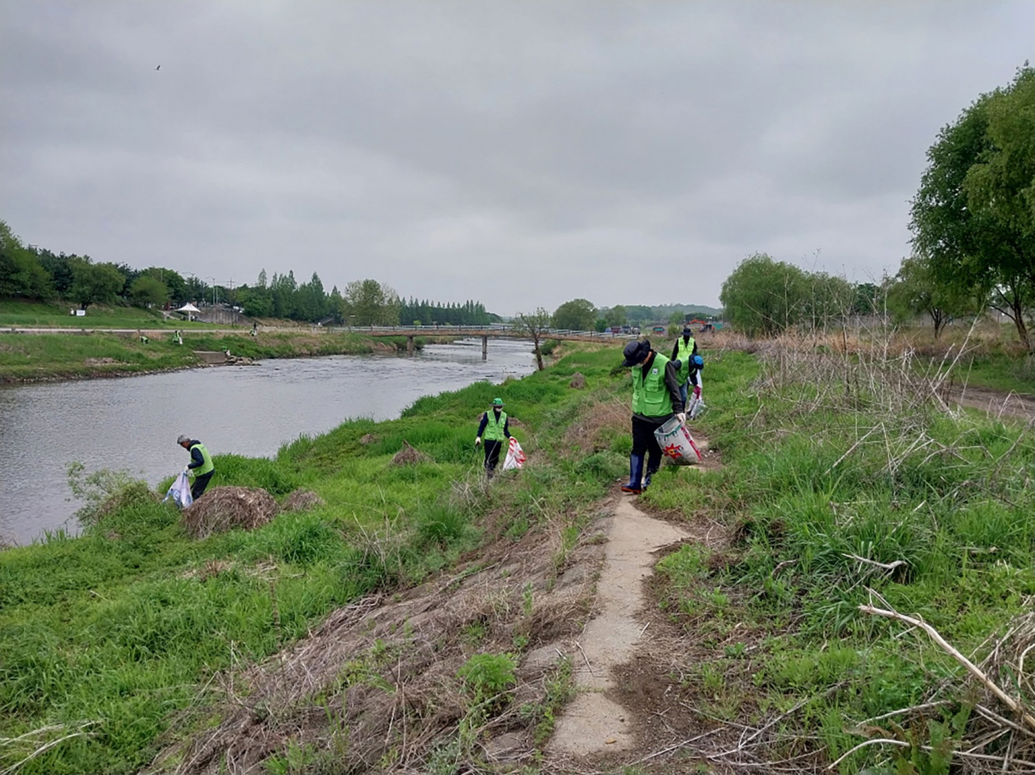 봄맞이 탄천 정화 활동