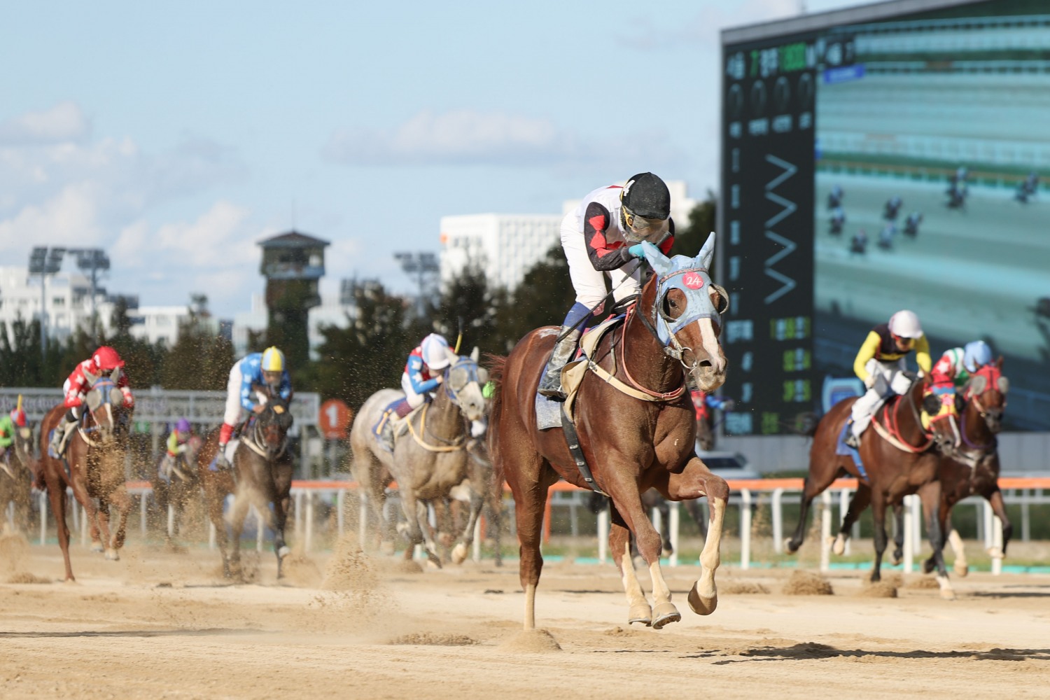 더러브렛 조교사,기수 면허시험 실시_사진은 렛츠런파크 서울의 경주장면