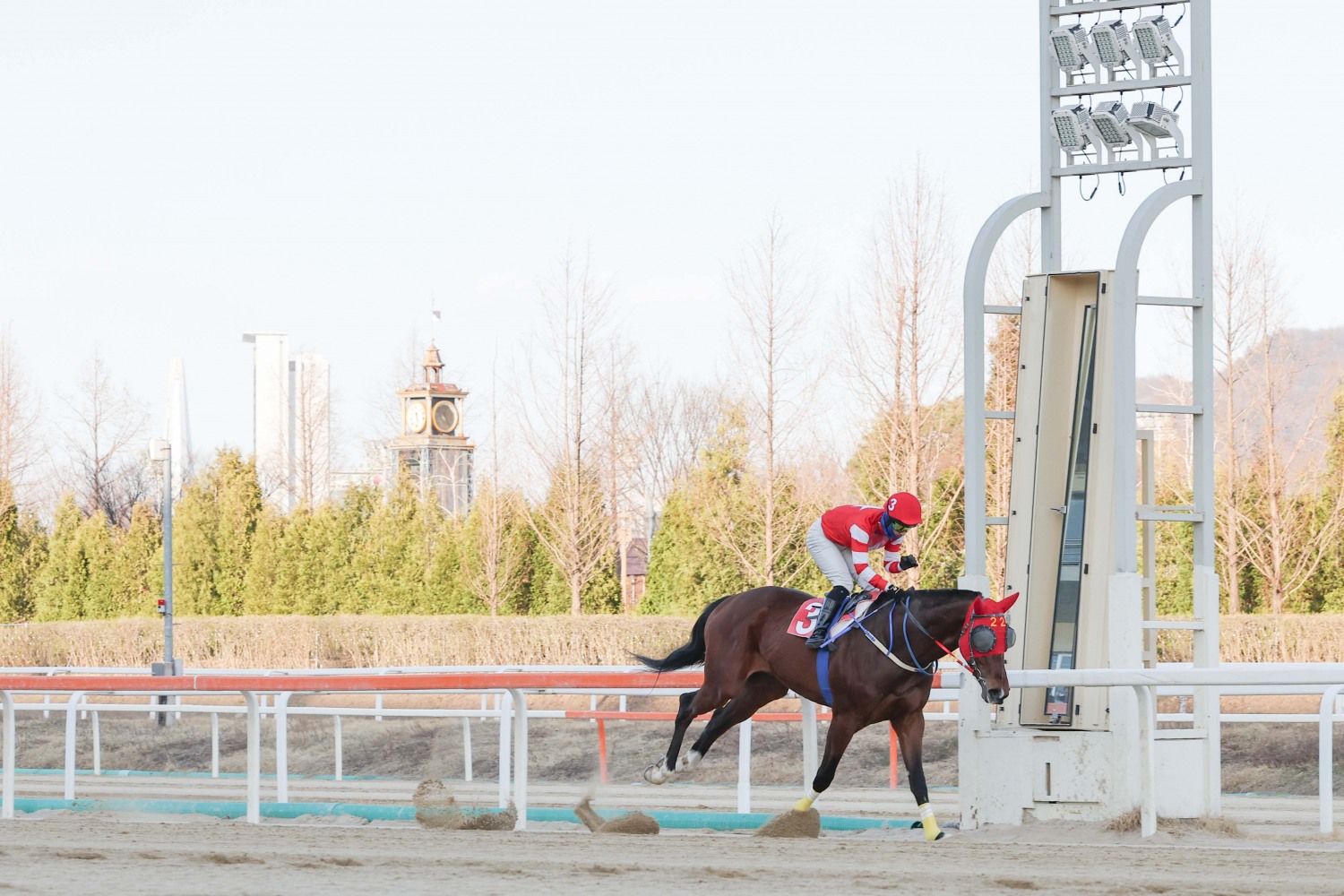 25년3월29일 제9경주 문세영 기수 2000승 장면
