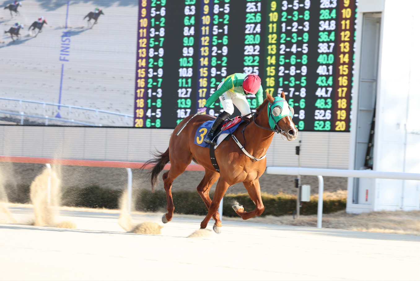 오아시스블루(25년 2월 23일 경남신문배)