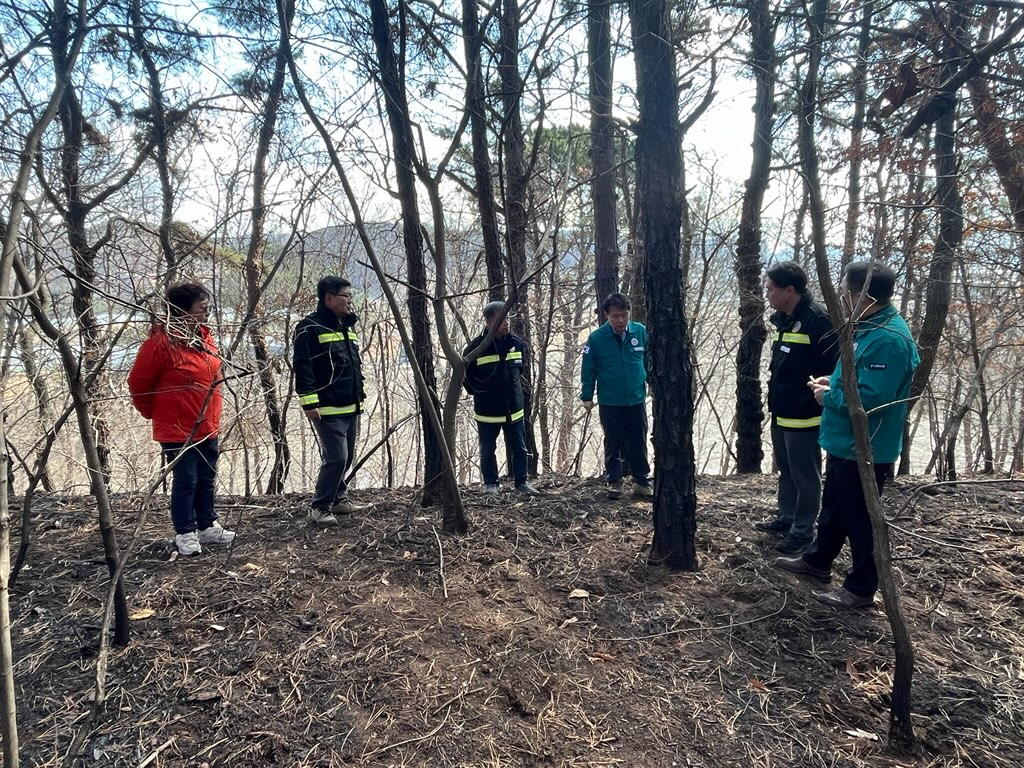 파주시 제공