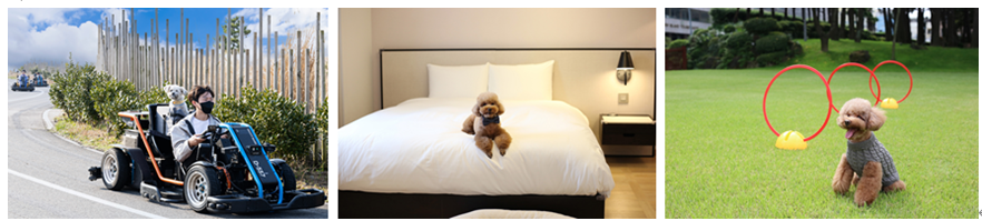 메종 글래드 제주 X 9.81파크 제주, ‘GLAD한 댕댕레이서 패키지’ 선보여