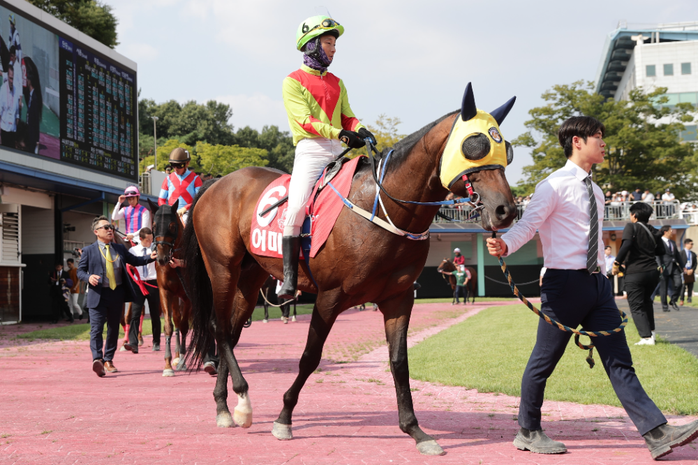 어마어마_24년9월8일 코리아스프린트