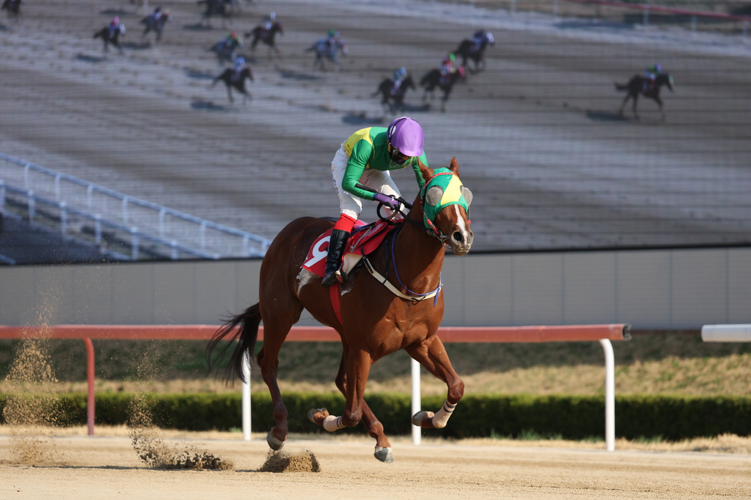 25년4월6일 제21회 KRA컵마일(G2) 우승마 오아시스블루와 진겸 기수