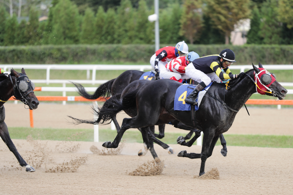 23년9월17일 일간스포츠배 우승한 너트플레이와 안토니오 기수