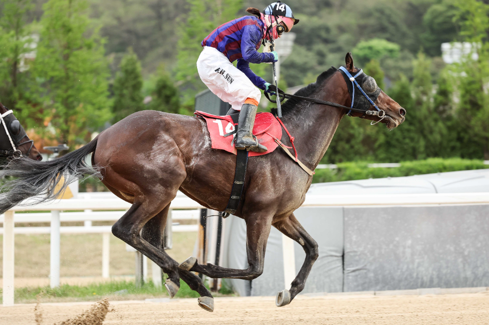 24년 YTN배 우승_김혜선기수와 글로벌히트
