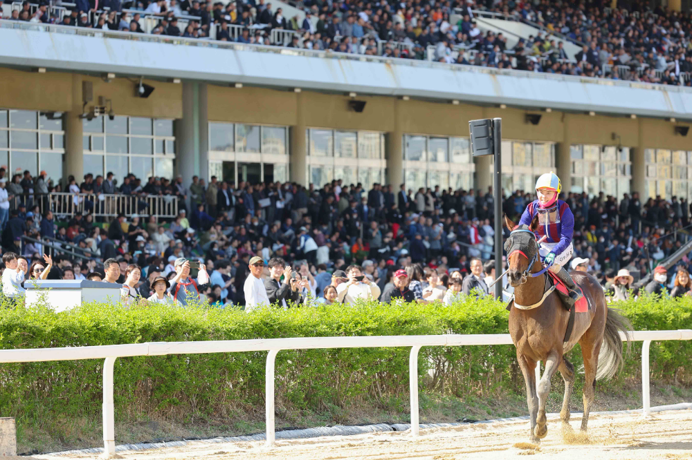 25년4월20일 YTN배_글로벌히트 김혜선 기수 위닝런 장면