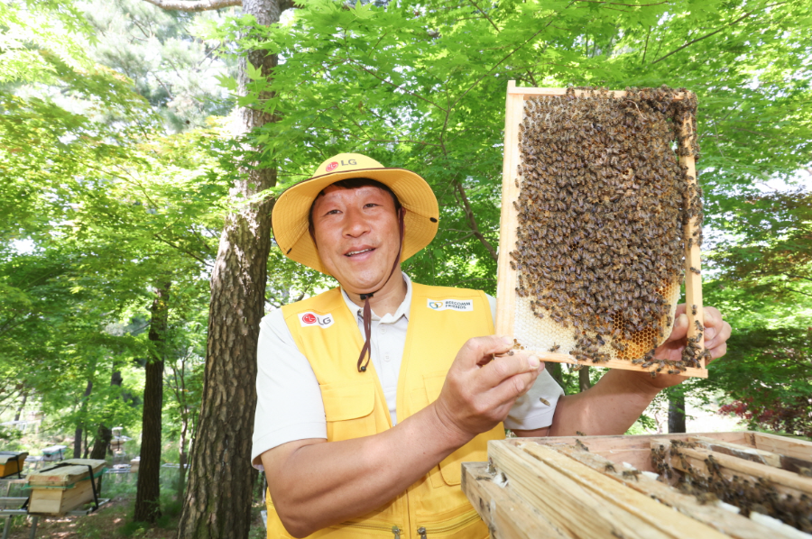 LG, 지속 가능한 생태계 조성을 위한 토종 꿀벌 프로젝트