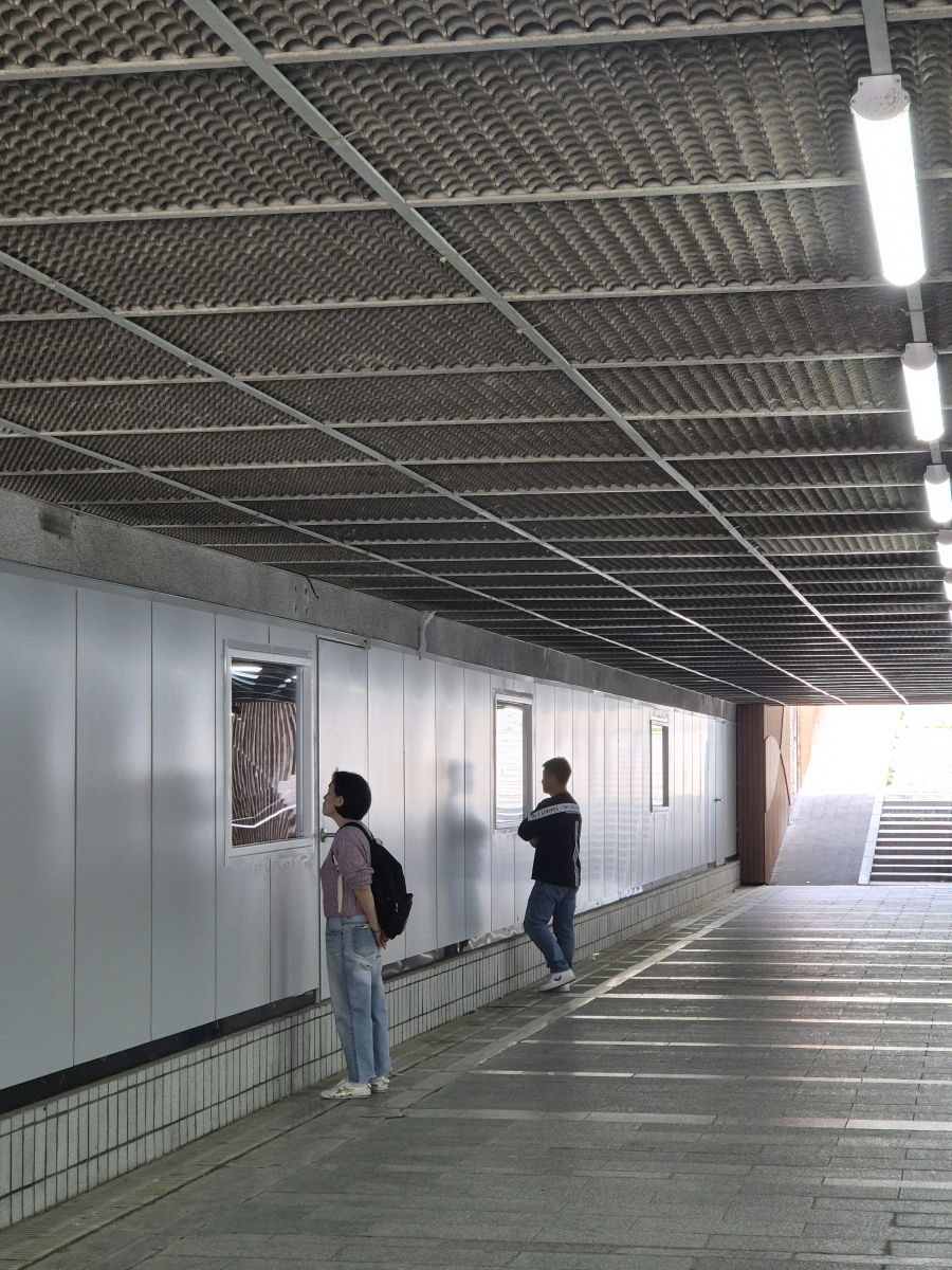 마두 지하보도 딸기 스마트팜을 들여다보는 시민들