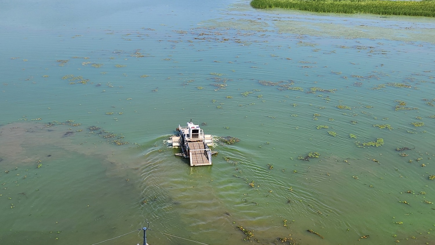광교저수지와 팔당호 조류경보제 시행