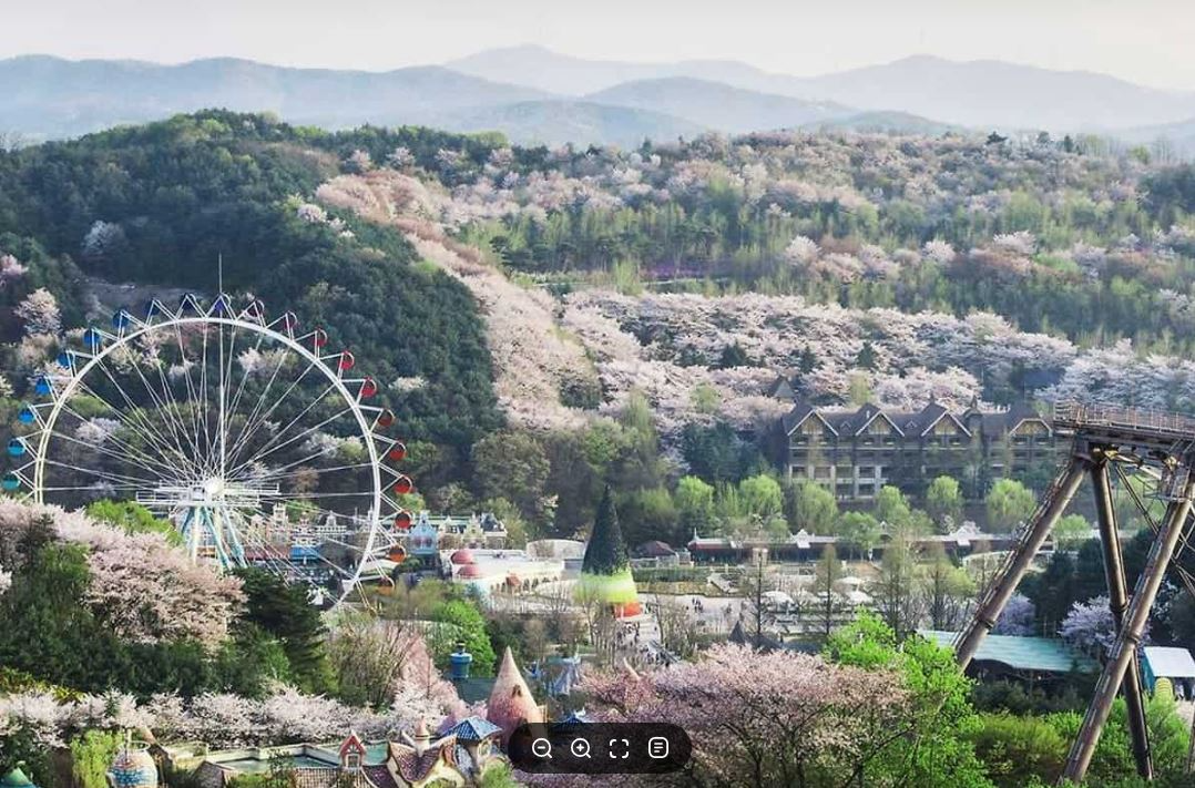 에버랜드 전경
