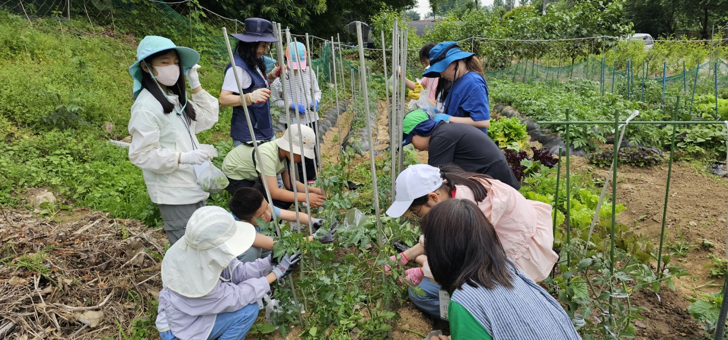 경기공유학교 생태 환경 프로그램