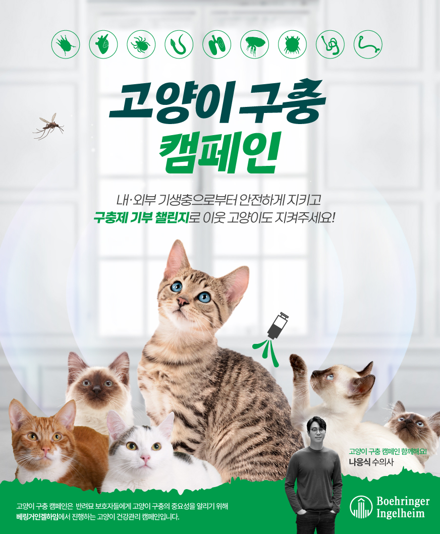 한국베링거인겔하임동물약품(주), 내·외부 기생충 예방 중요성 알리는 ‘고양이 구충 캠페인’ 전개