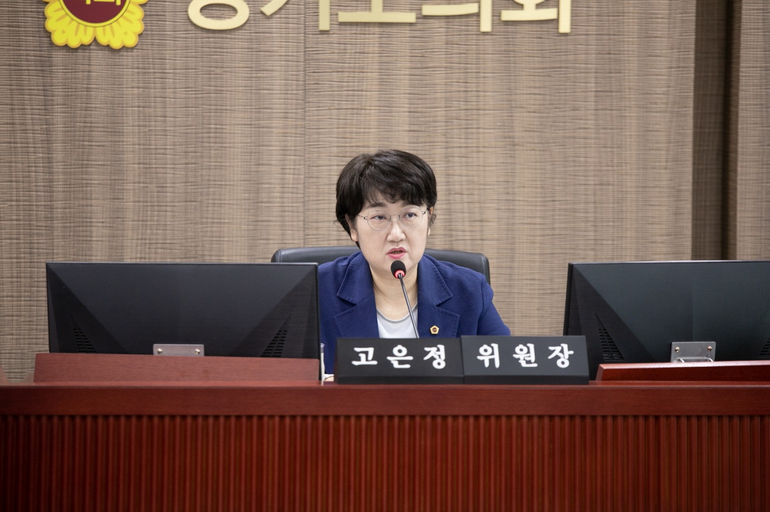 고은정 경기도의원
