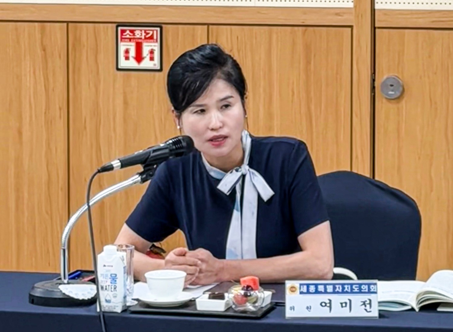 여미전 세종시의원