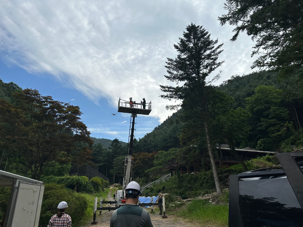 경기도, 여름철 소나무재선충병 확산방지에 드론 등 3중 정밀 예찰 추진