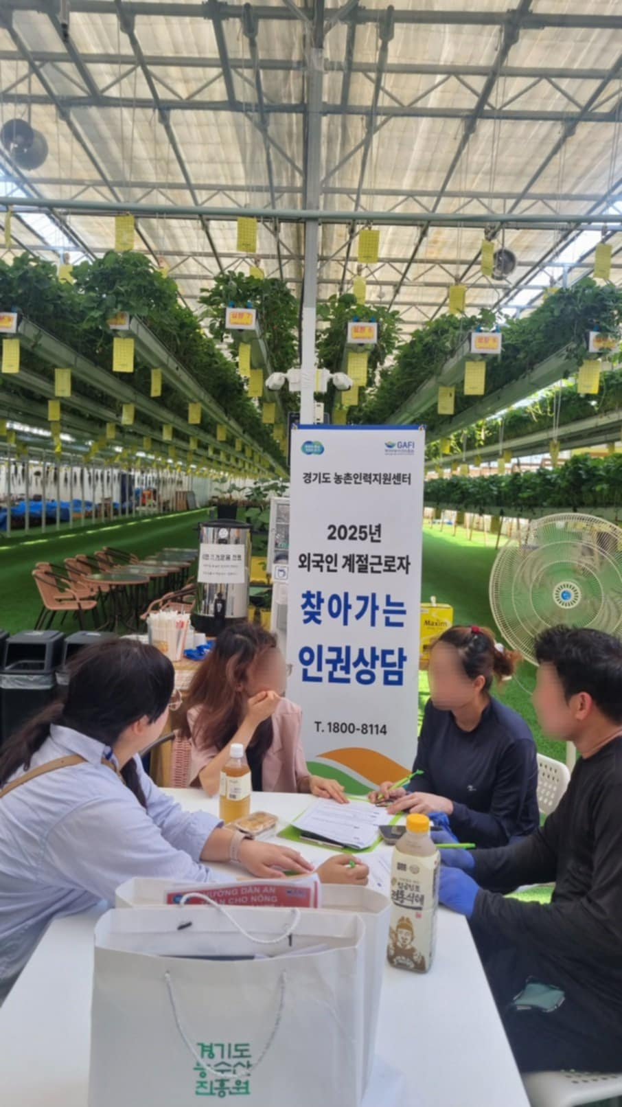 인권 실태조사