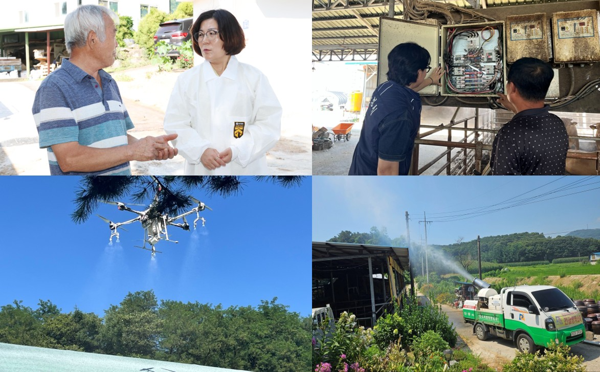 가축 지키기 위한 폭염 대응 총력전