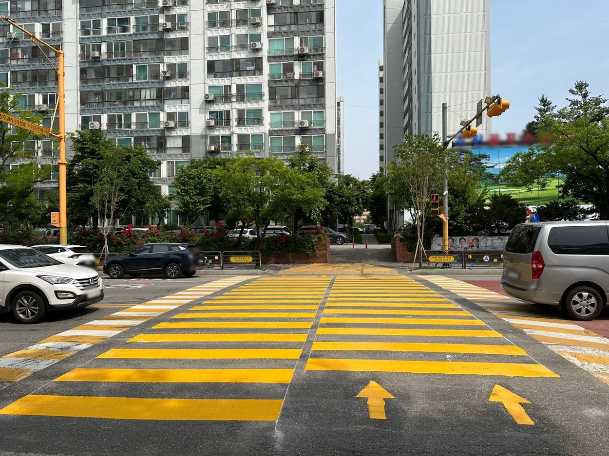 노란 횡단보도·차량신호등 보조장치