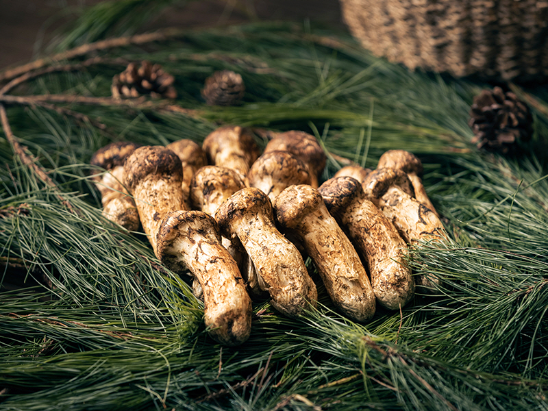 앰배서더 서울 풀만 호텔, 가을 스페셜 코스 ‘추미칠품’ 선봬