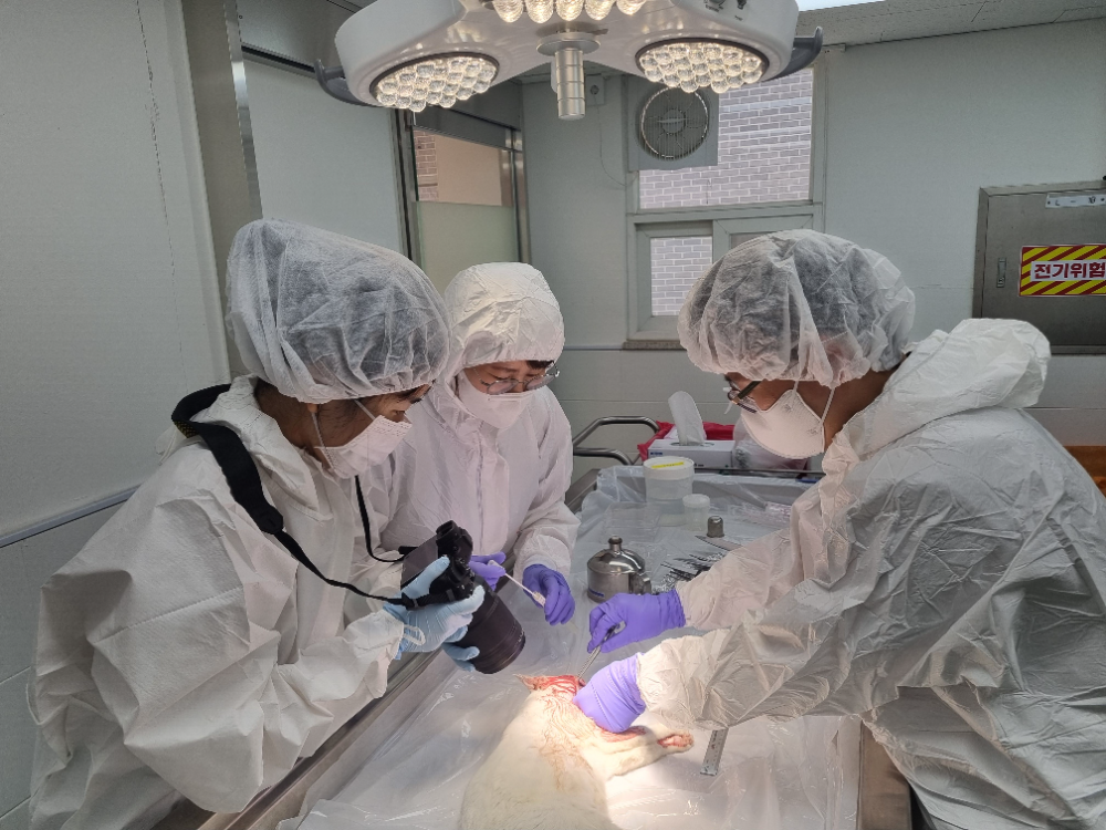 수의법의학센터