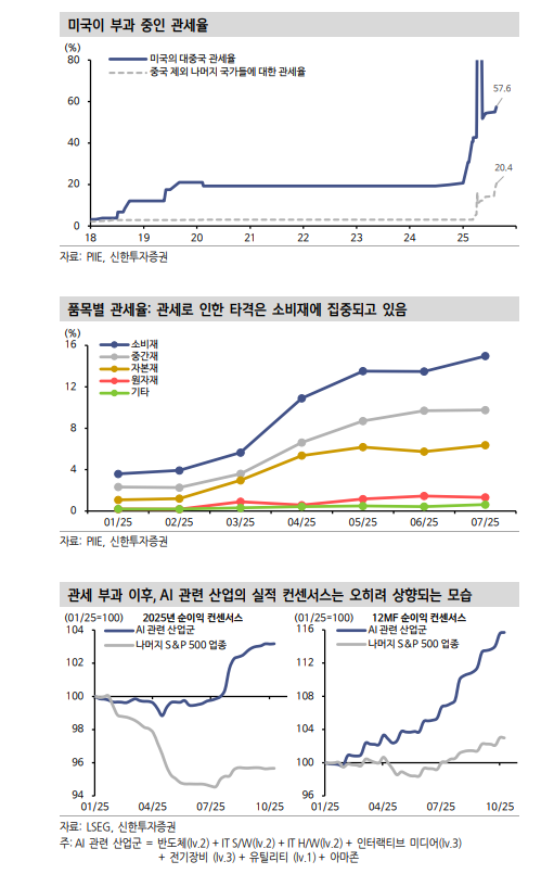 이번 주식 강세장, 막 내리기 위해선 AI 사이클 붕괴해야 - 신한證