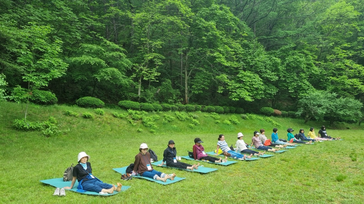 안양시 산림체험 프로그램