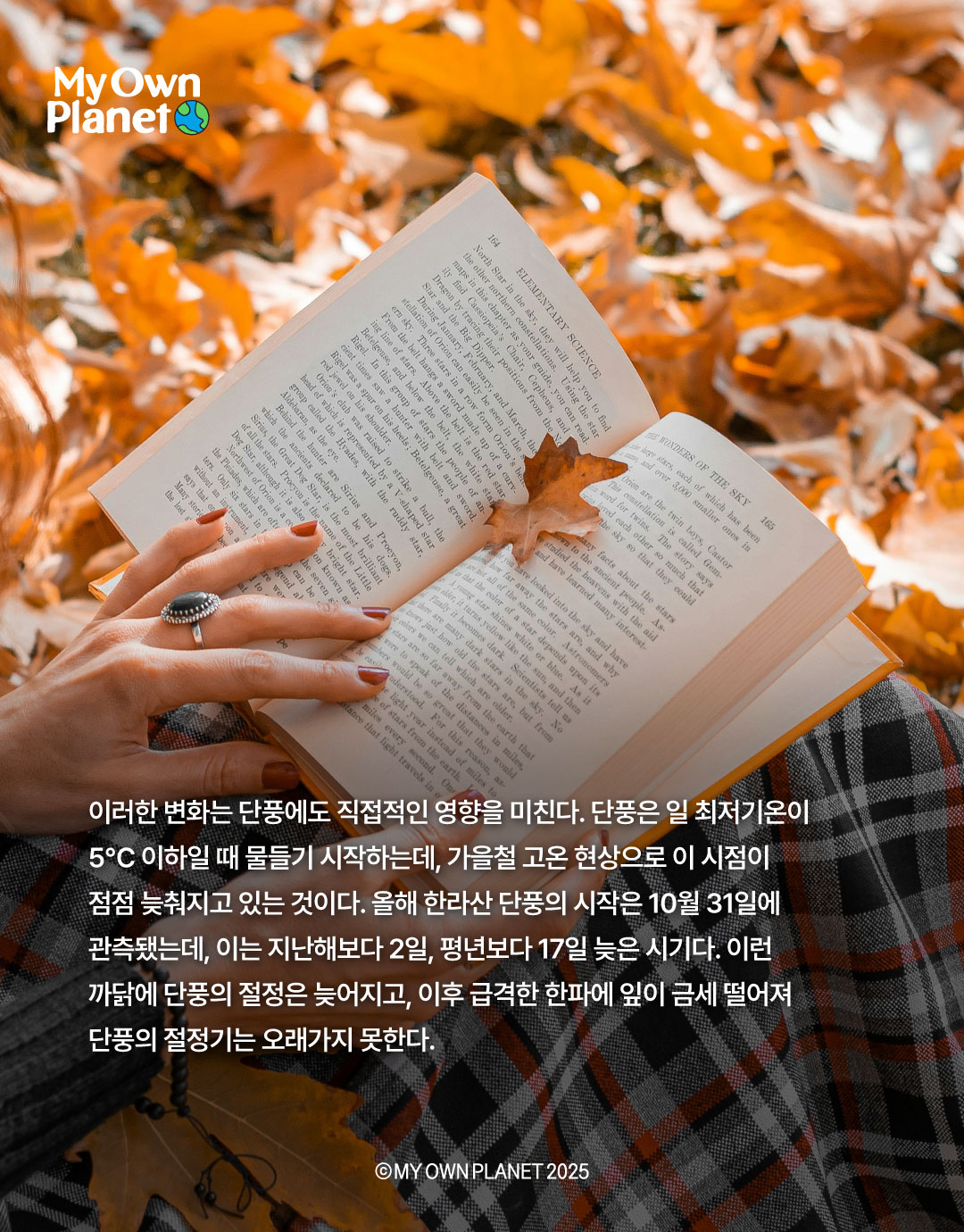 마이 오운 플래닛(My Own Planet) 기후행동 실천 캠페인 ⑫ “가을 단풍의 색채가 옅어지는 까닭"