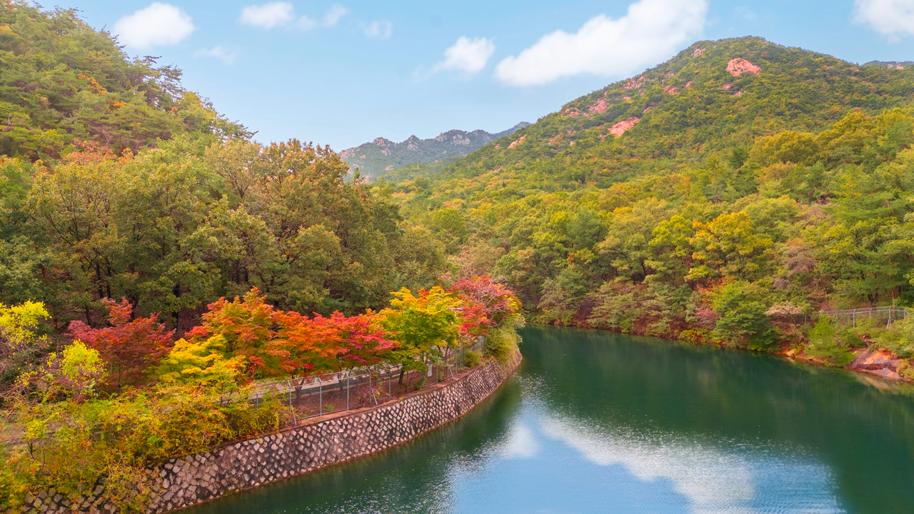 서울대 안양수목원
