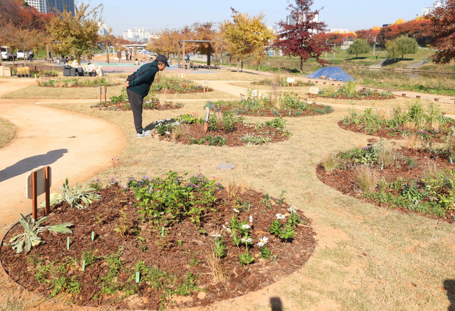 시민 손으로 만든 ‘안양천 시민참여정원