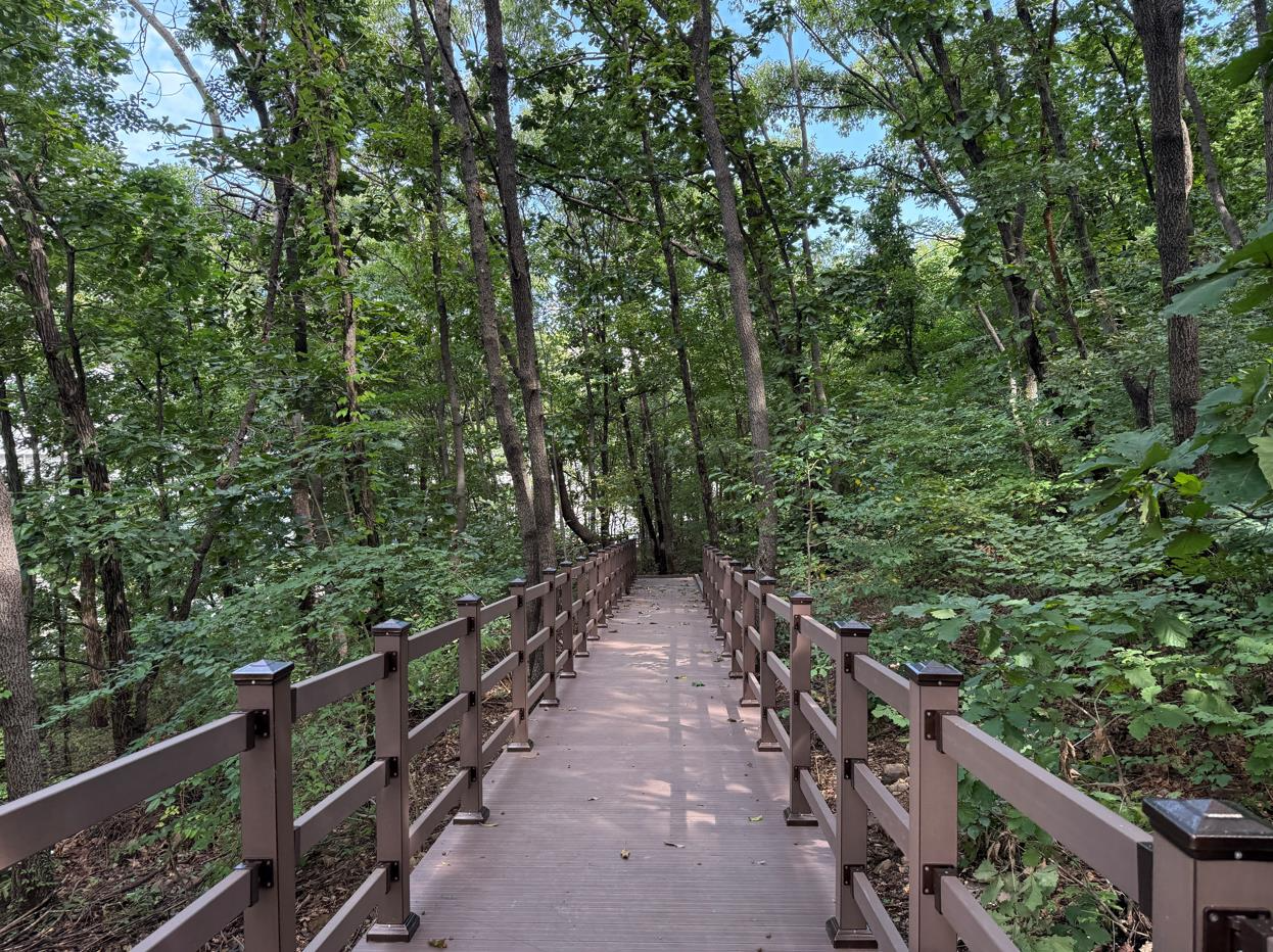 황산숲에 조성된 데크로드 (하남시 제공)