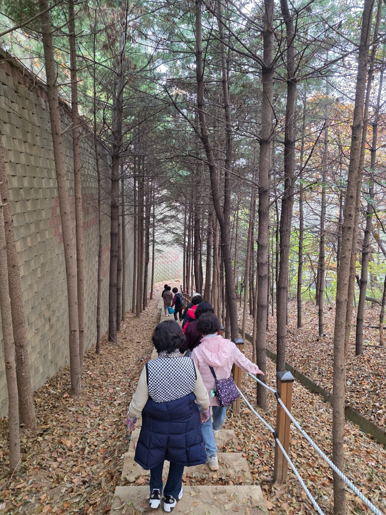 2025년 상·하반기로 나눠 운영한 건강 걷기 프로그램 (용인시 제공)