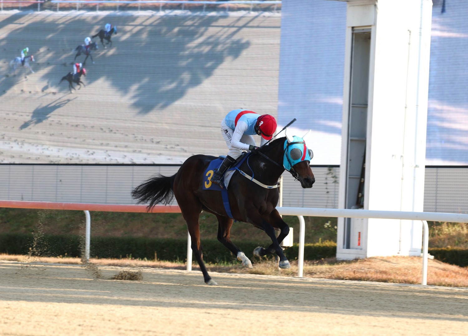 브리더스컵 퀸 우승마 에이스하이와 최시대 기수