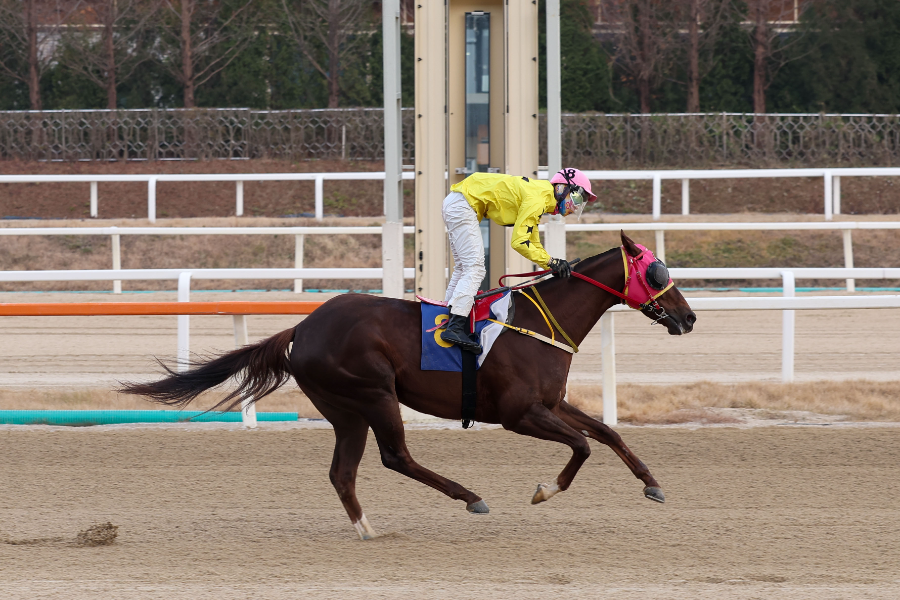 결승선 통과하는 매직포션과 장추열 기수_KRA스프린트@서울