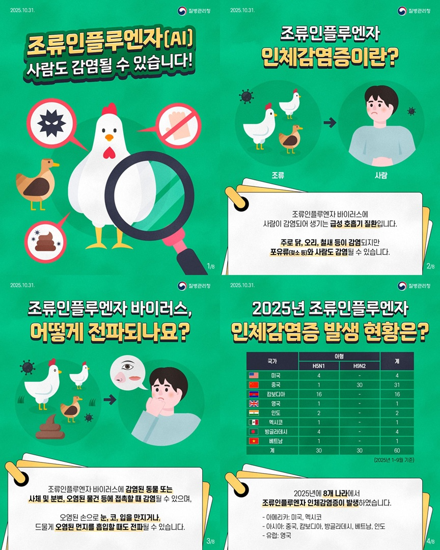 조류인플루엔자 감염 예방 포스터 (파주시 제공)