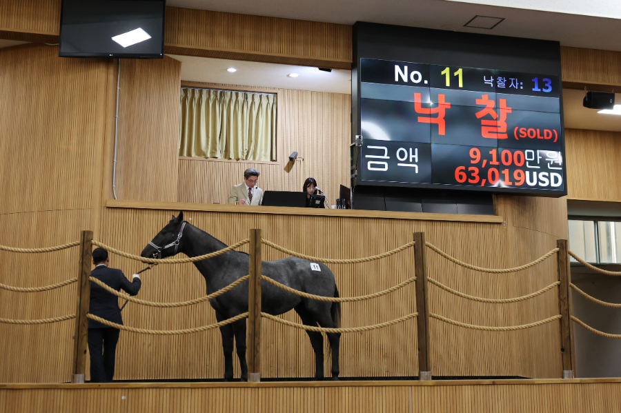 12월 9일 경매 현장