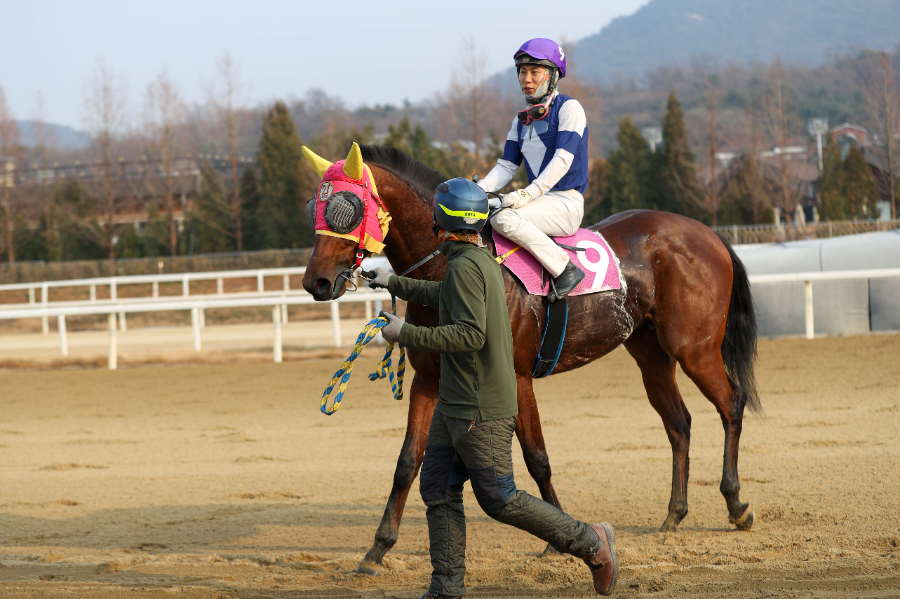 MBN배 우승마 태양의전사와 이동하 기수