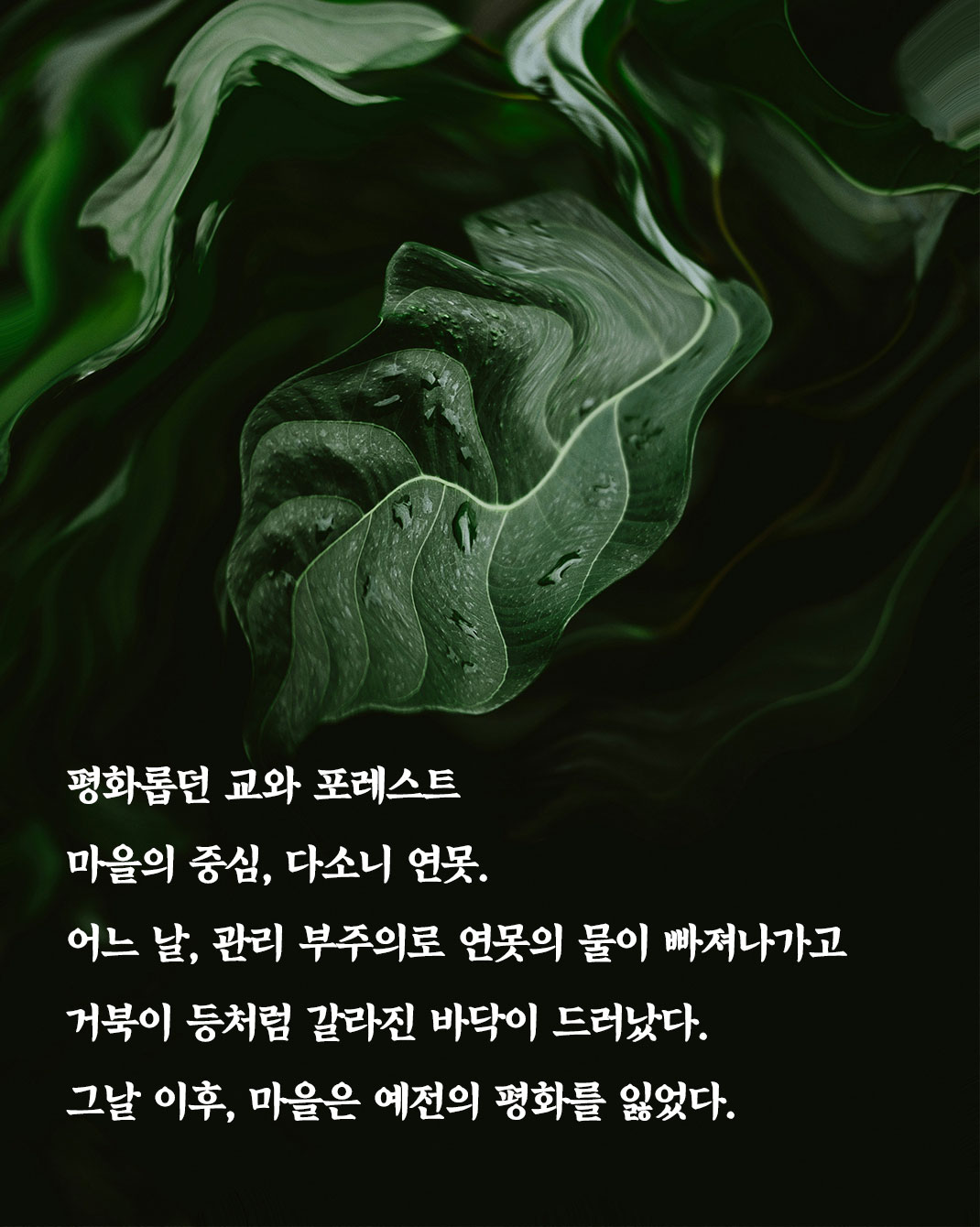 황정은 신작 미스터리 <개구리 정원의 살인> 출간