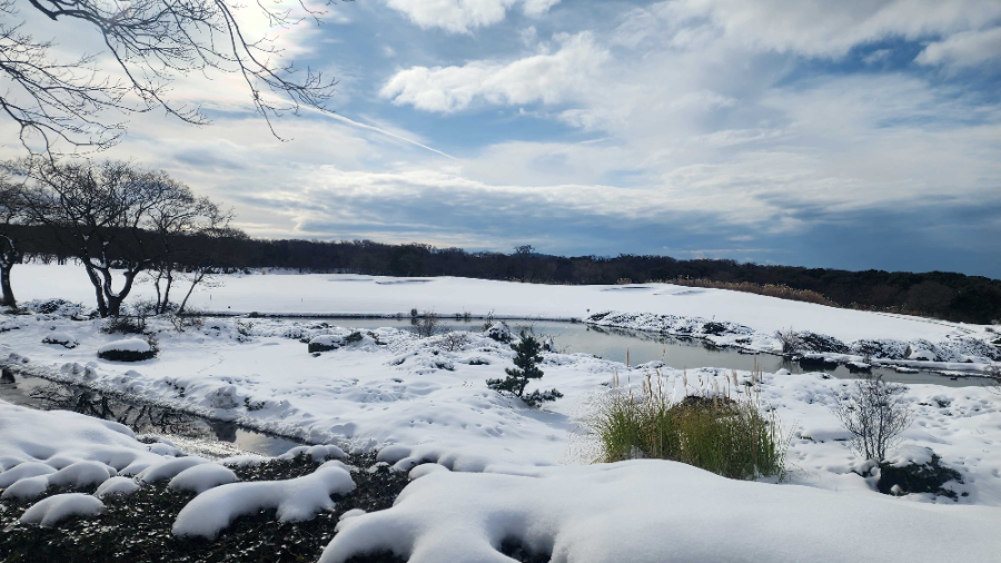 블랙스톤제주의 겨울