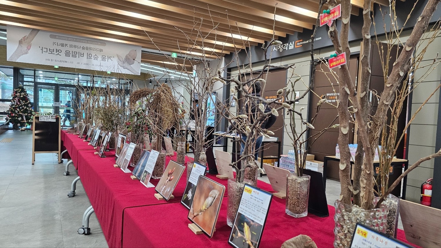 배다리마을숲 나무의 겨울나기-겨울 숲의 비밀을 엿보다 (평택시 제공)