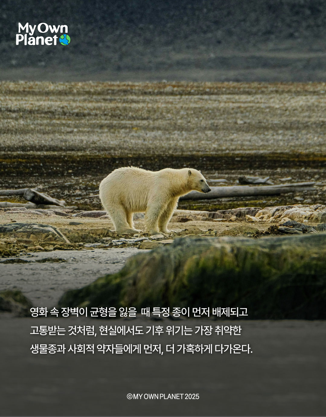 마이 오운 플래닛(My Own Planet) 기후행동 실천 캠페인 19 “주토피아 2, 공존을 위한 기후 시스템”