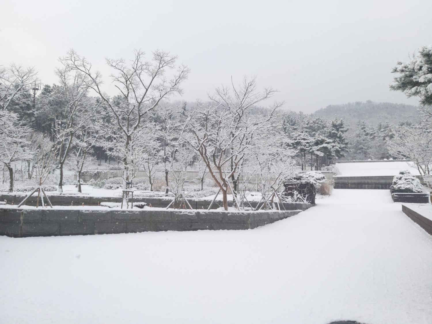 바다향기수목원 설경 (안산시 제공)