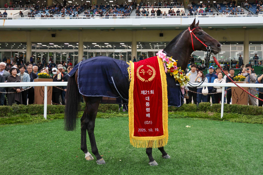 연도대표마 선정된 스피드영_사진은 대통령배 우승 모습